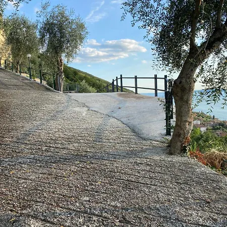 Vista דירה *