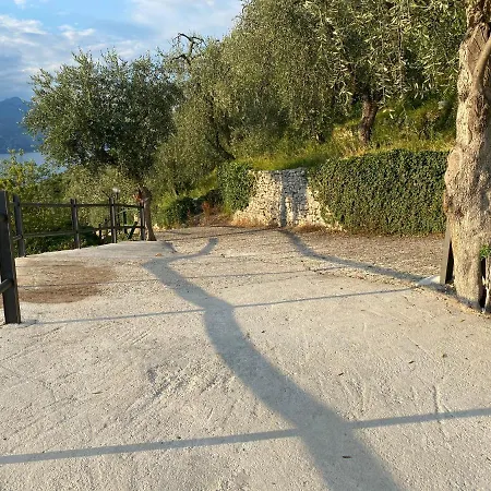 Vista דירה